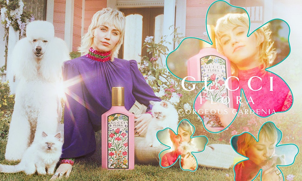 FLORA GORGEOUS GARDENIA